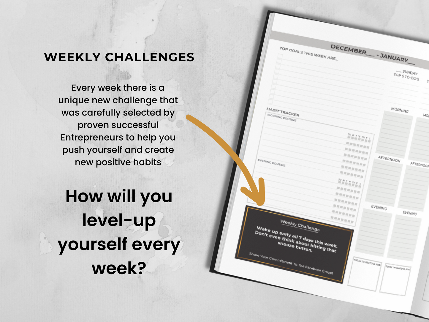 Rich Life Planner + 5 FREE Tools